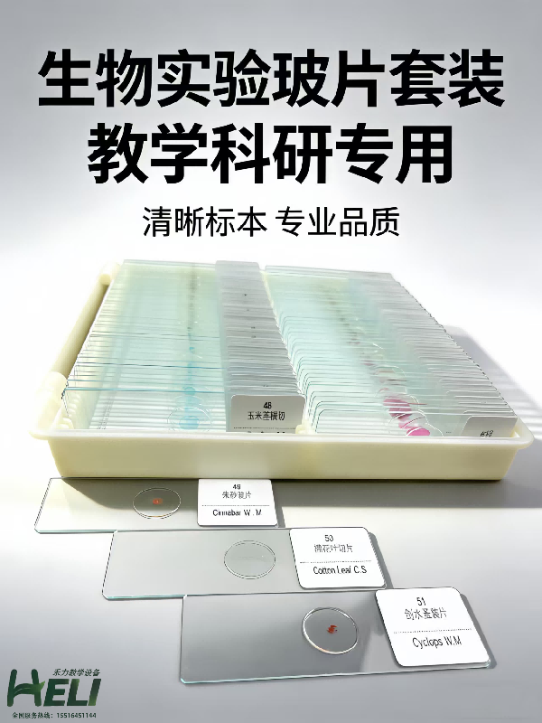生物實驗玻片標本