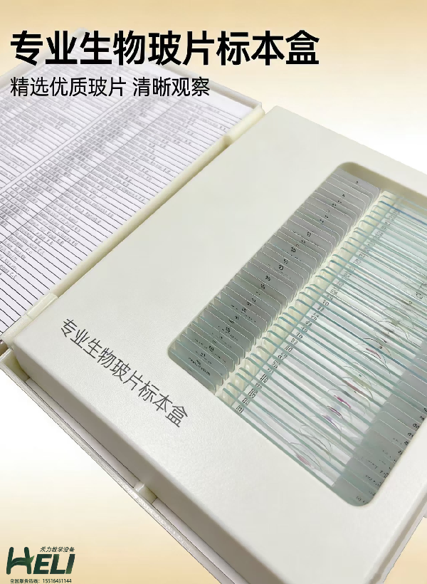 生物實驗玻片標本